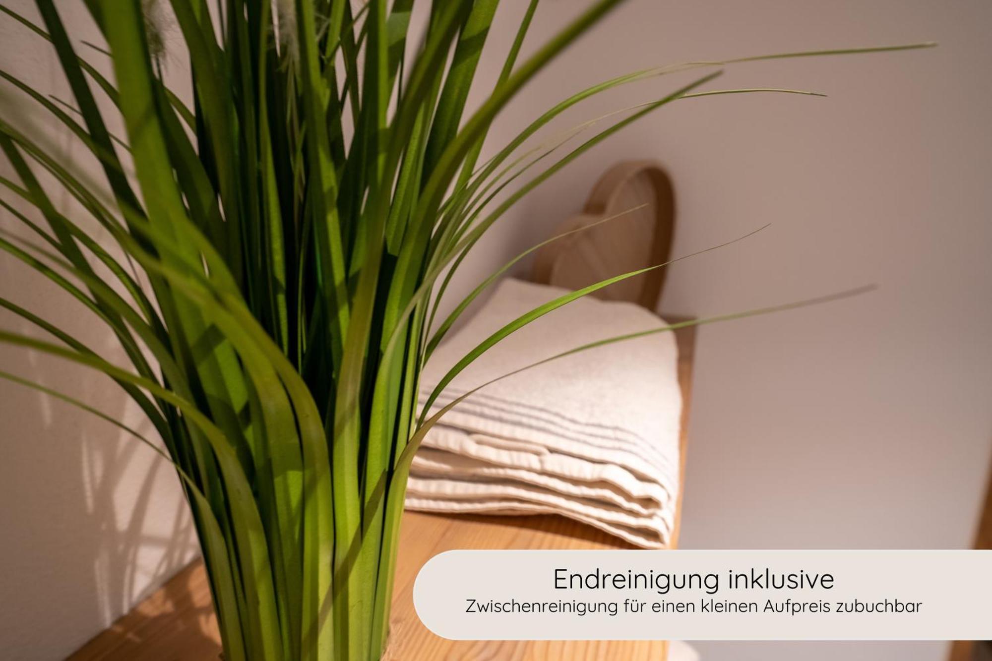 Invita Natur-Chalets - Familienurlaub Im Schwarzwald บัดเดอร์ไฮม์ ภายนอก รูปภาพ